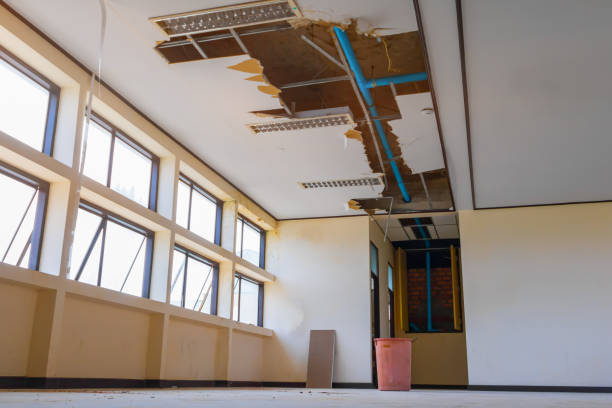 Best Water damage restoration near me  in Tracy City, TN