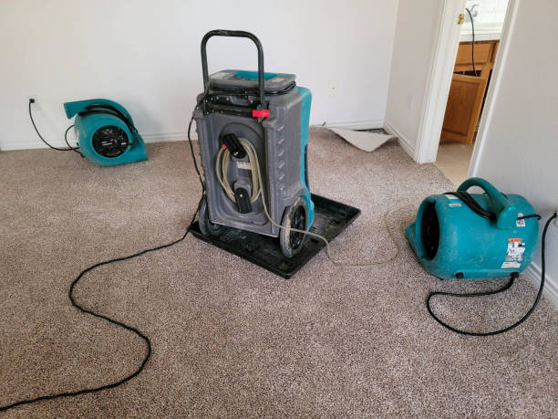  Tracy City, TN Water damage restoration Pros