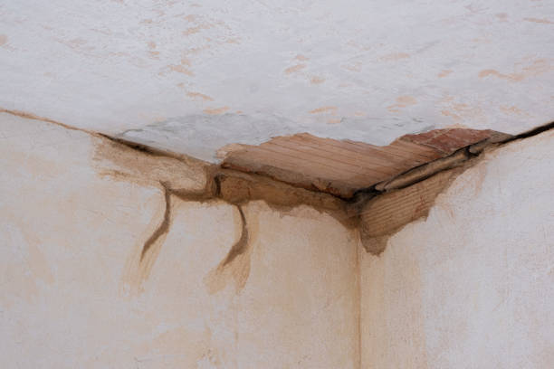 Best Water damage restoration process  in Tracy City, TN