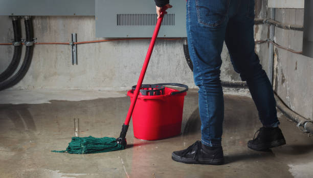 Best Water damage restoration near me  in Tracy City, TN