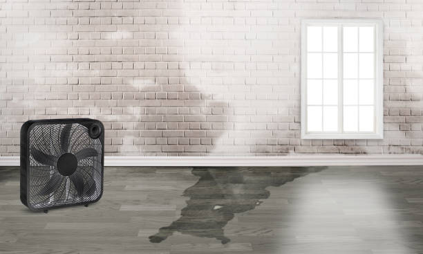 Best Ceiling water damage repair  in Tracy City, TN