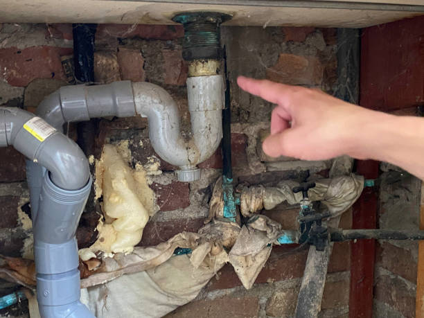 Best Flooded house restoration  in Tracy City, TN