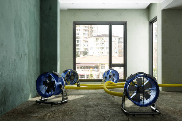 Best Flood restoration services  in Tracy City, TN